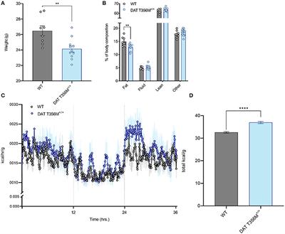 Autism-Associated Variant in the SLC6A3 Gene Alters the Oral Microbiome and Metabolism in a Murine Model